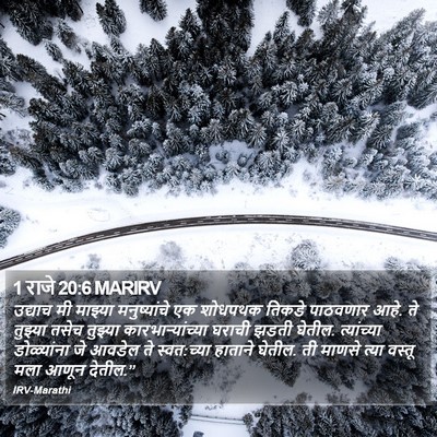1 राजे 20:6 MARIRV Bible Verse Image
