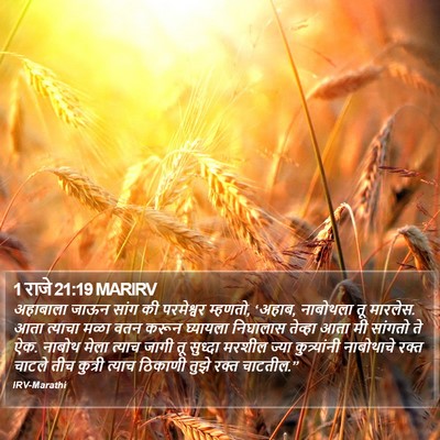 1 राजे 21:19 MARIRV Bible Verse Image