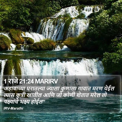 1 राजे 21:24 MARIRV Bible Verse Image