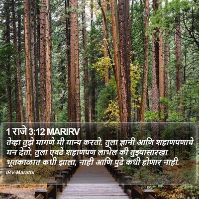 1 राजे 3:12 MARIRV Bible Verse Image