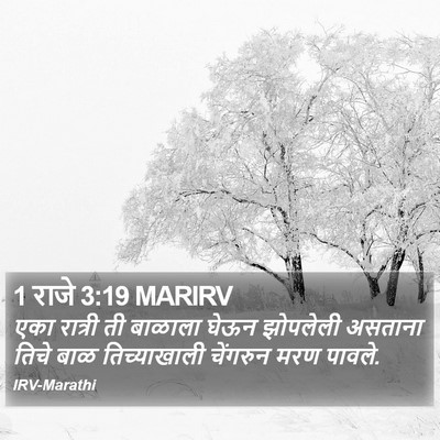 1 राजे 3:19 MARIRV Bible Verse Image