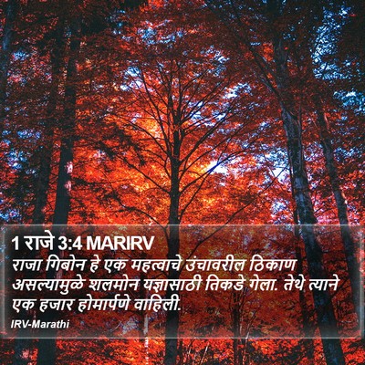 1 राजे 3:4 MARIRV Bible Verse Image