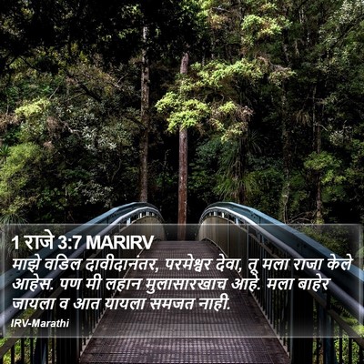 1 राजे 3:7 MARIRV Bible Verse Image