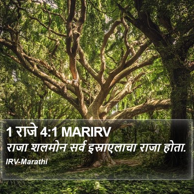 1 राजे 4:1 MARIRV Bible Verse Image