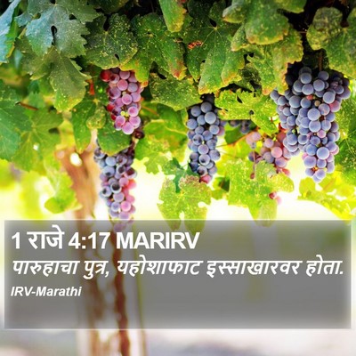 1 राजे 4:17 MARIRV Bible Verse Image