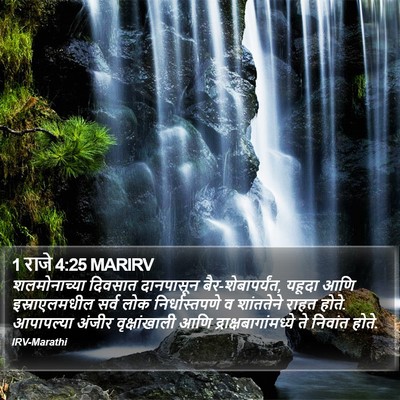 1 राजे 4:25 MARIRV Bible Verse Image