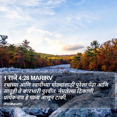 1 राजे 4:28 MARIRV Bible Verse Image