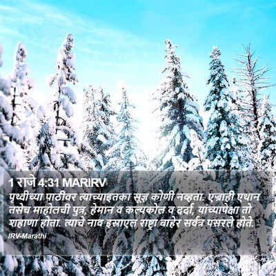 1 राजे 4:31 MARIRV Bible Verse Image