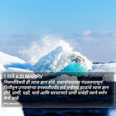 1 राजे 4:33 MARIRV Bible Verse Image