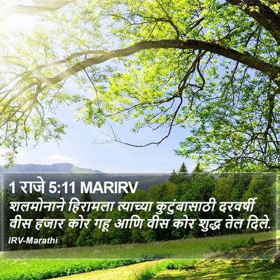 1 राजे 5:11 MARIRV Bible Verse Image