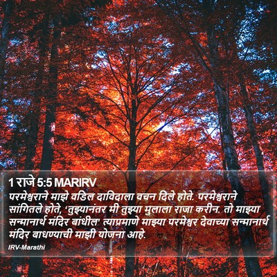 1 राजे 5:5 MARIRV Bible Verse Image