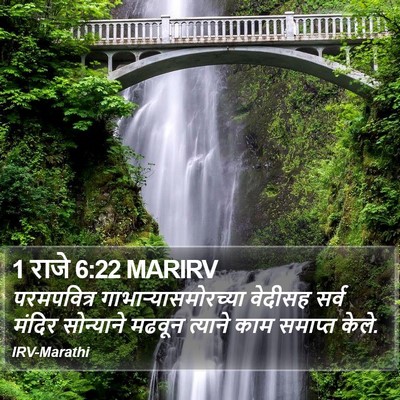 1 राजे 6:22 MARIRV Bible Verse Image