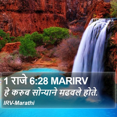 1 राजे 6:28 MARIRV Bible Verse Image