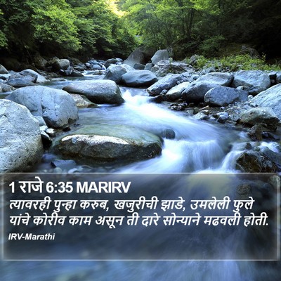 1 राजे 6:35 MARIRV Bible Verse Image