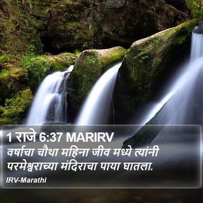 1 राजे 6:37 MARIRV Bible Verse Image