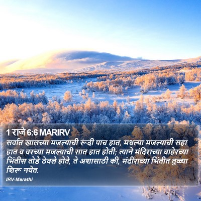 1 राजे 6:6 MARIRV Bible Verse Image