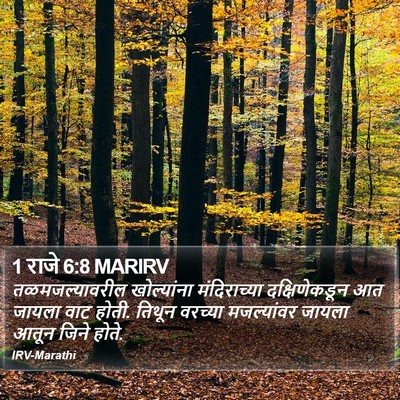 1 राजे 6:8 MARIRV Bible Verse Image