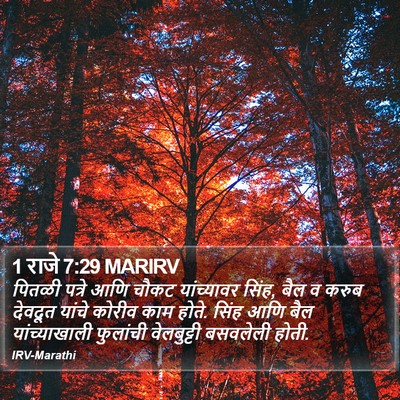 1 राजे 7:29 MARIRV Bible Verse Image