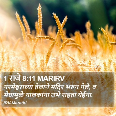 1 राजे 8:11 MARIRV Bible Verse Image