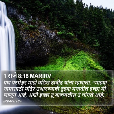 1 राजे 8:18 MARIRV Bible Verse Image
