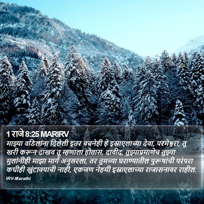 1 राजे 8:25 MARIRV Bible Verse Image