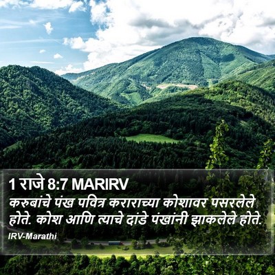 1 राजे 8:7 MARIRV Bible Verse Image