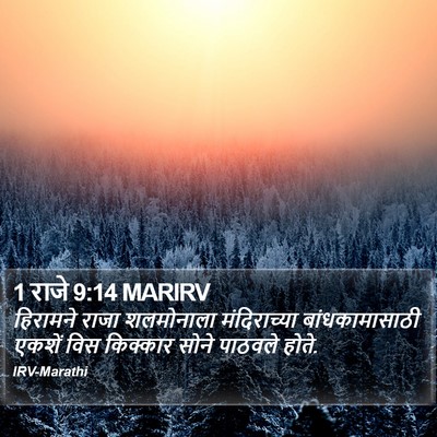 1 राजे 9:14 MARIRV Bible Verse Image