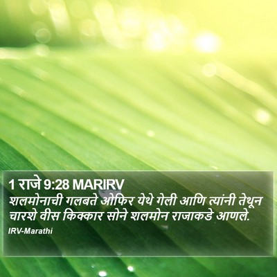 1 राजे 9:28 MARIRV Bible Verse Image