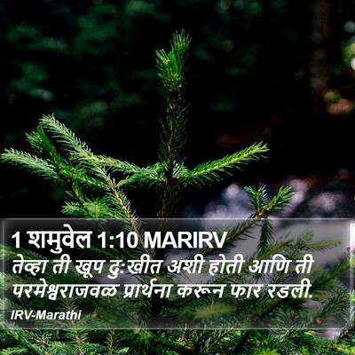 1 शमुवेल 1:10 MARIRV Bible Verse Image