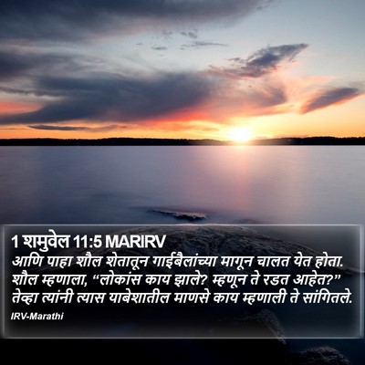 1 शमुवेल 11:5 MARIRV Bible Verse Image