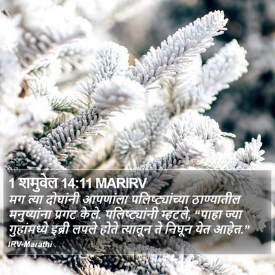 1 शमुवेल 14:11 MARIRV Bible Verse Image