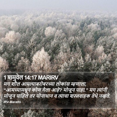1 शमुवेल 14:17 MARIRV Bible Verse Image