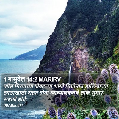 1 शमुवेल 14:2 MARIRV Bible Verse Image