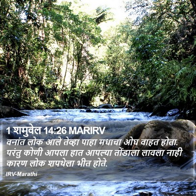 1 शमुवेल 14:26 MARIRV Bible Verse Image