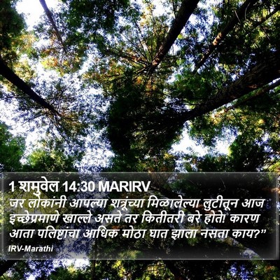 1 शमुवेल 14:30 MARIRV Bible Verse Image