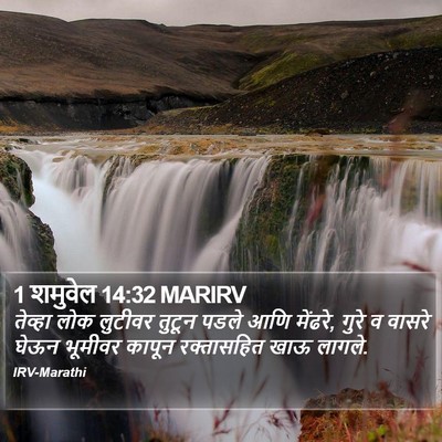 1 शमुवेल 14:32 MARIRV Bible Verse Image
