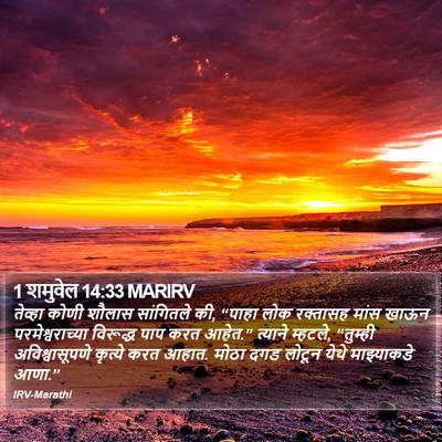 1 शमुवेल 14:33 MARIRV Bible Verse Image