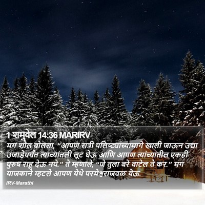 1 शमुवेल 14:36 MARIRV Bible Verse Image