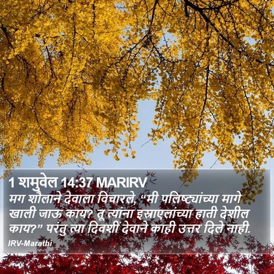 1 शमुवेल 14:37 MARIRV Bible Verse Image