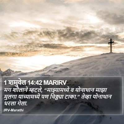 1 शमुवेल 14:42 MARIRV Bible Verse Image