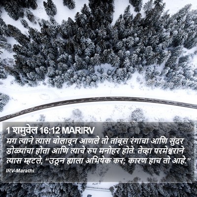 1 शमुवेल 16:12 MARIRV Bible Verse Image