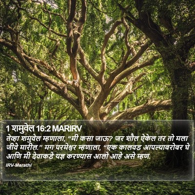 1 शमुवेल 16:2 MARIRV Bible Verse Image