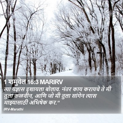 1 शमुवेल 16:3 MARIRV Bible Verse Image