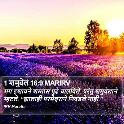 1 शमुवेल 16:9 MARIRV Bible Verse Image