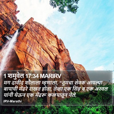 1 शमुवेल 17:34 MARIRV Bible Verse Image