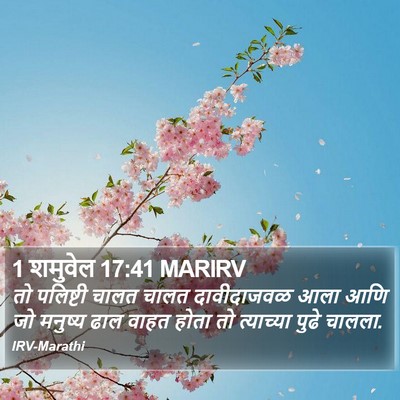 1 शमुवेल 17:41 MARIRV Bible Verse Image