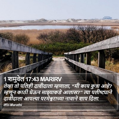 1 शमुवेल 17:43 MARIRV Bible Verse Image