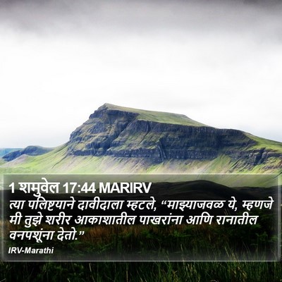 1 शमुवेल 17:44 MARIRV Bible Verse Image
