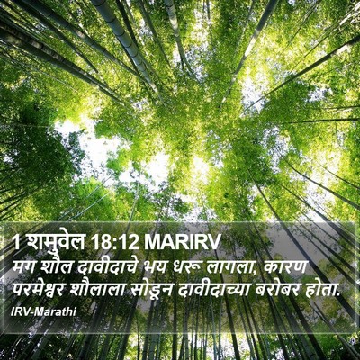 1 शमुवेल 18:12 MARIRV Bible Verse Image