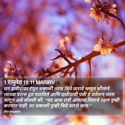 1 शमुवेल 19:11 MARIRV Bible Verse Image